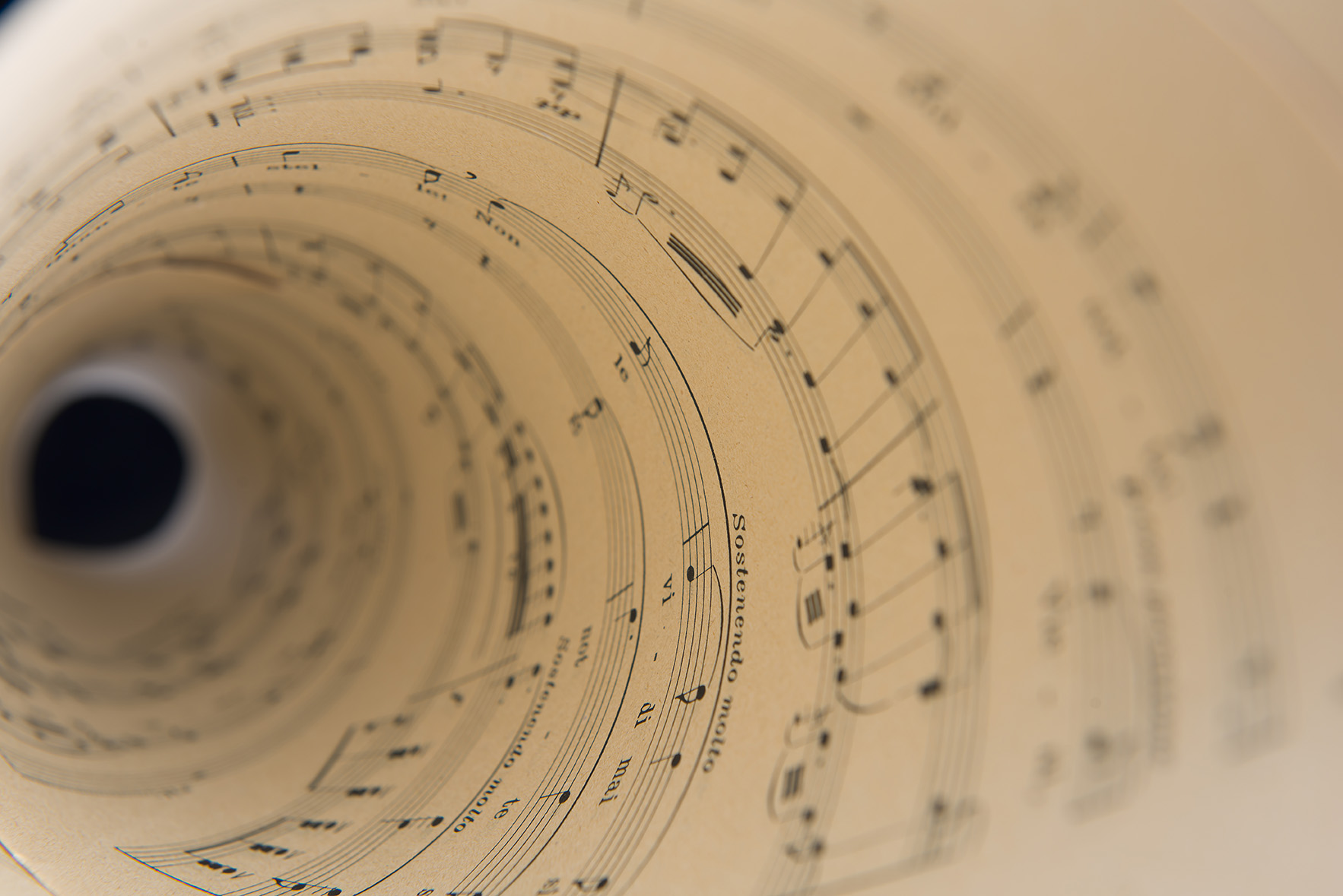 shutterstock_504817153 copy