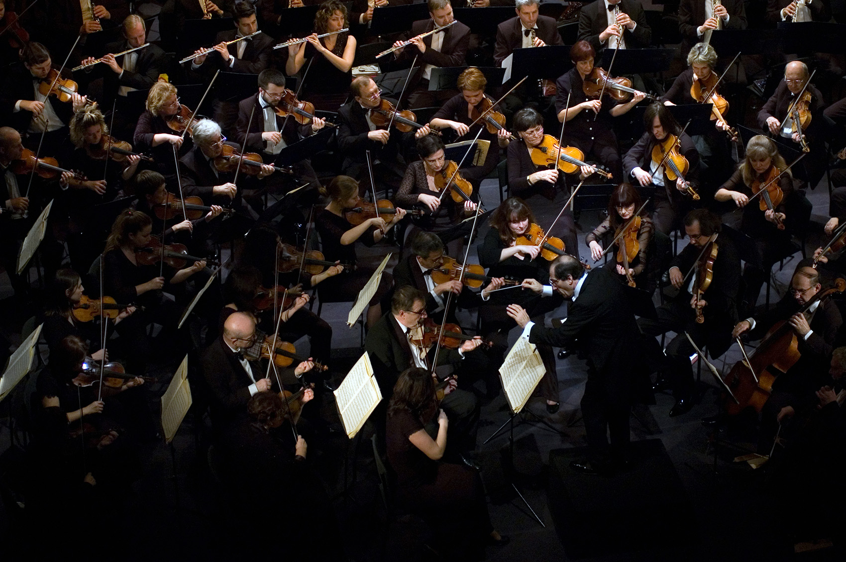 shutterstock_87821464 copy